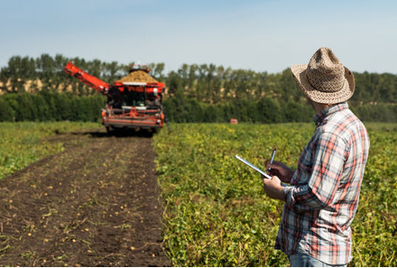 fiabilidad-contractual-agrícola-yeray