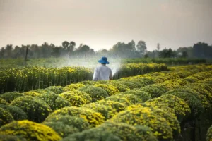 agricultores-yeray-portada